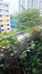 Blk 44 Owen Road (Kallang/Whampoa), HDB 3 Rooms #525218801